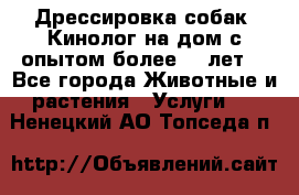 Дрессировка собак (Кинолог на дом с опытом более 10 лет) - Все города Животные и растения » Услуги   . Ненецкий АО,Топседа п.